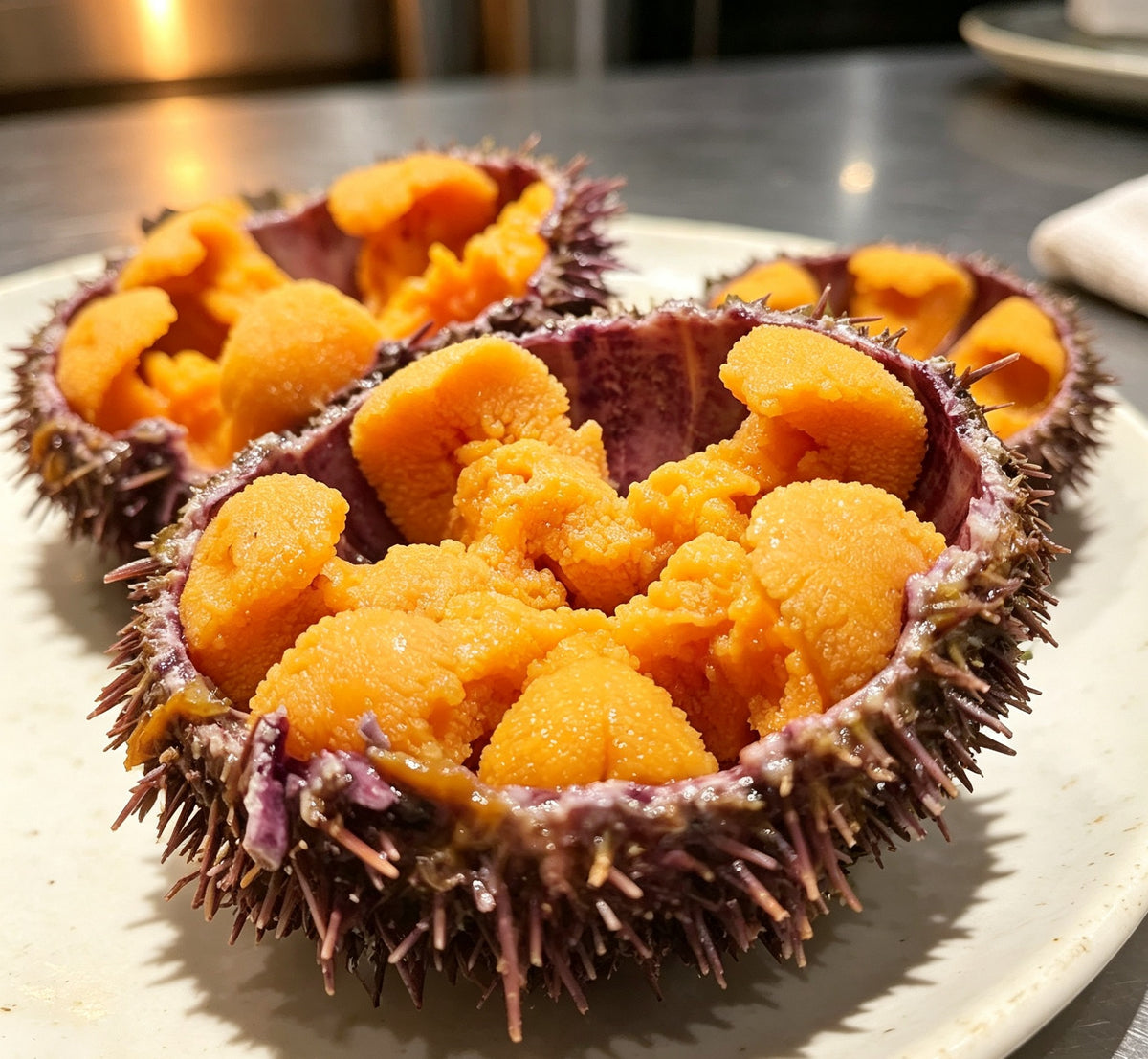 Ocean's Gold: Fresh Sea Urchin Roe Delight